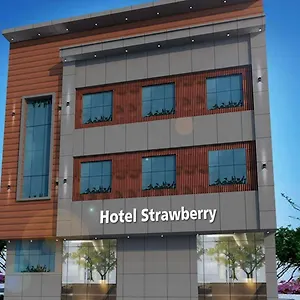 Strawberry Chandigarh